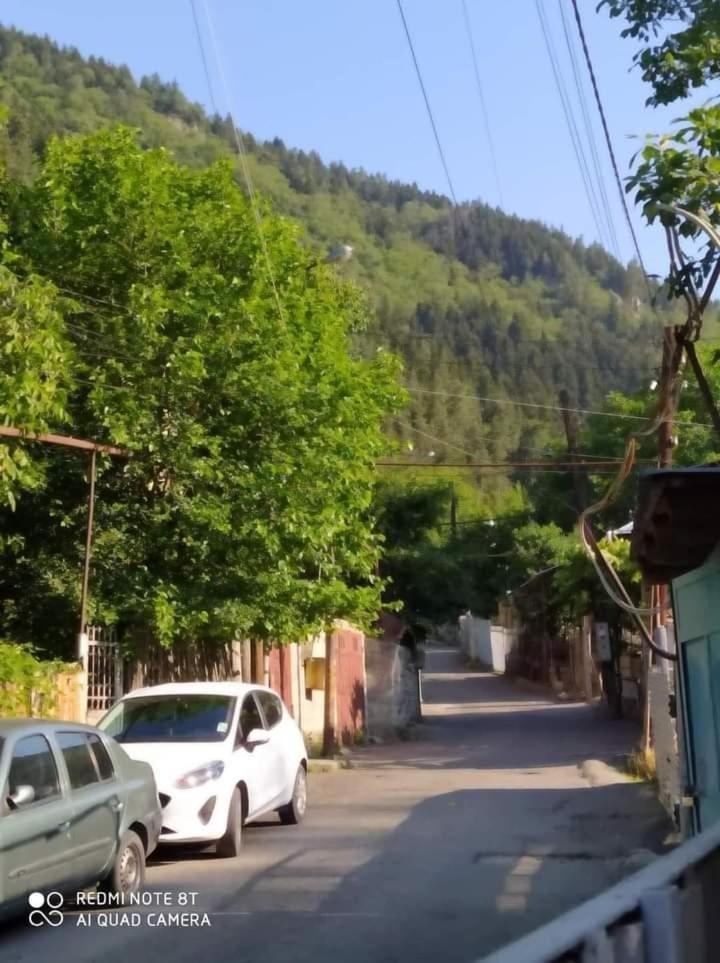 Irakli Guesthouse 博尔若米 外观 照片
