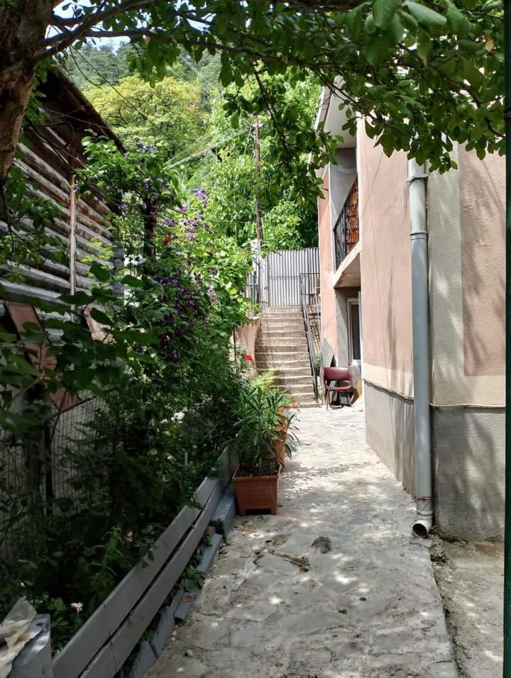 Irakli Guesthouse 博尔若米 外观 照片